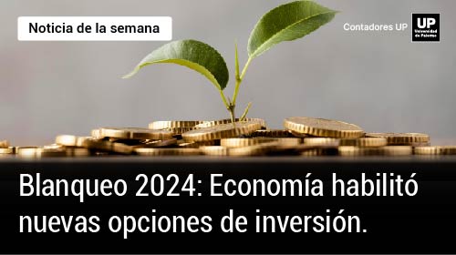 💵📊 Blanqueo 2024: Economía habilitó nuevas opciones de inversión.