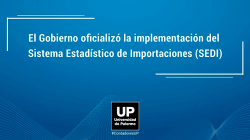 El Gobierno oficializó la implementación del Sistema Estadístico de Importaciones (SEDI)