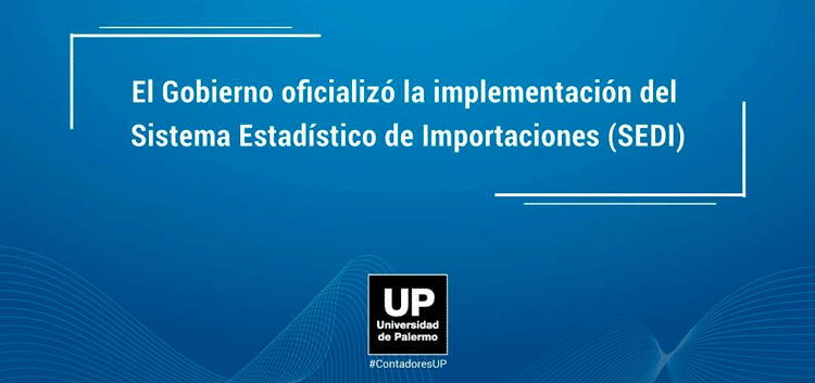   El Gobierno oficializó la implementación del Sistema Estadístico de Importaciones (SEDI)  