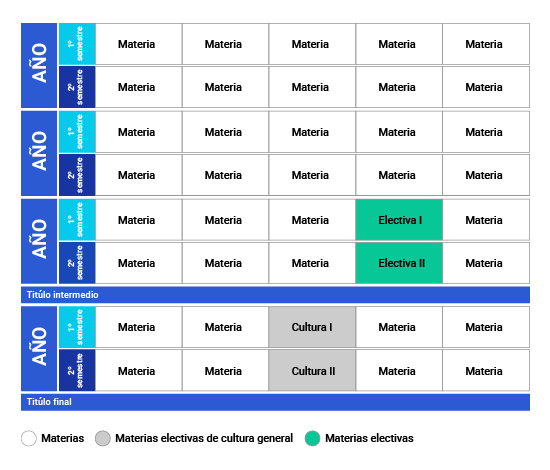 Plan de Estudios